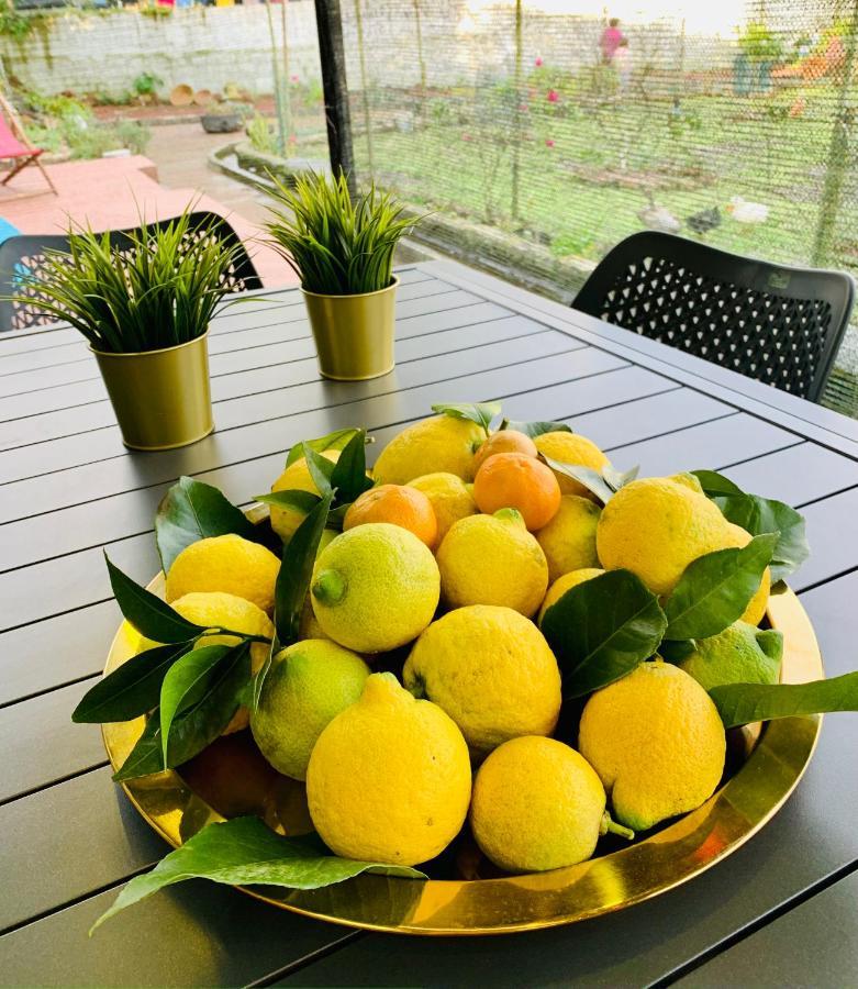 Furnas Spring Lodge 외부 사진